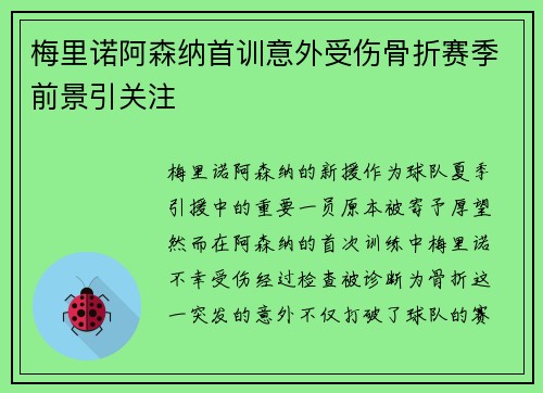 梅里诺阿森纳首训意外受伤骨折赛季前景引关注